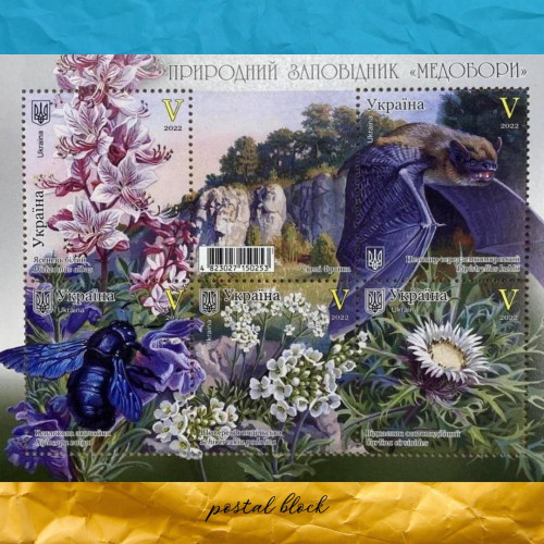  Природний заповідник Медобори РЕПЛІКА